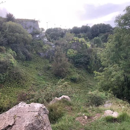 Oda ve Kahvaltı Blackrock Carole