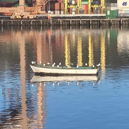 Blackrock Carole 5* Cork