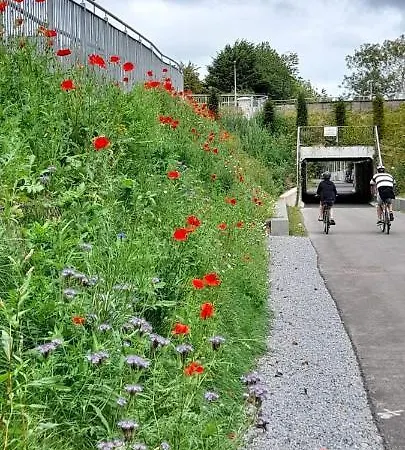 Blackrock Carole Oda ve Kahvaltı