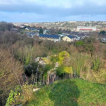 Bed & Breakfast Blackrock Carole Cork