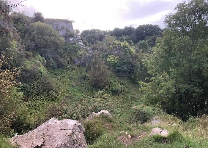 Bed & Breakfast Blackrock Carole