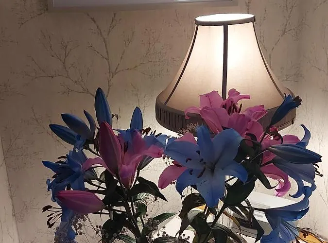 Blackrock Carole Bed & Breakfast Cork