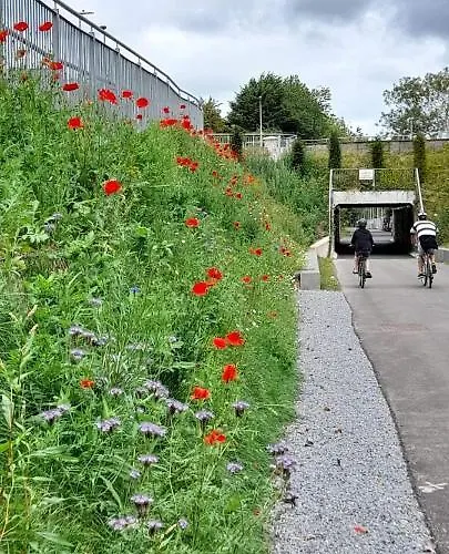 Blackrock Carole Bed and breakfast